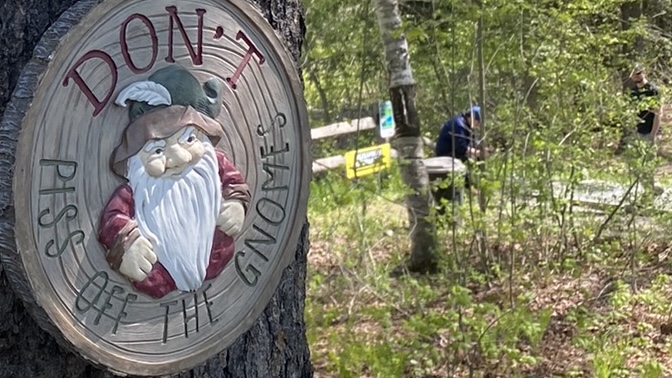 gnome sign in tree