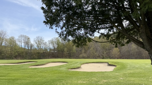 gold course w three sand traps