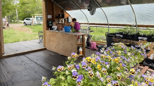 Hillside staff working at the checkout inside the greenhouse nursery
