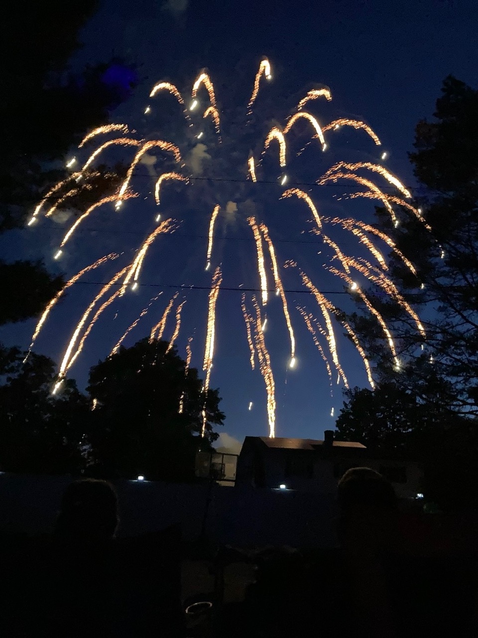 fireworks in the sky